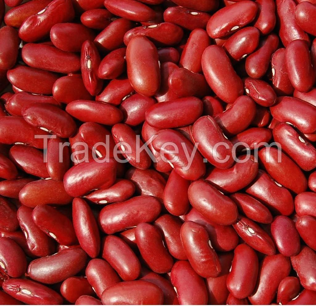 Dark Red Kidney and White Kidney Beans Offer