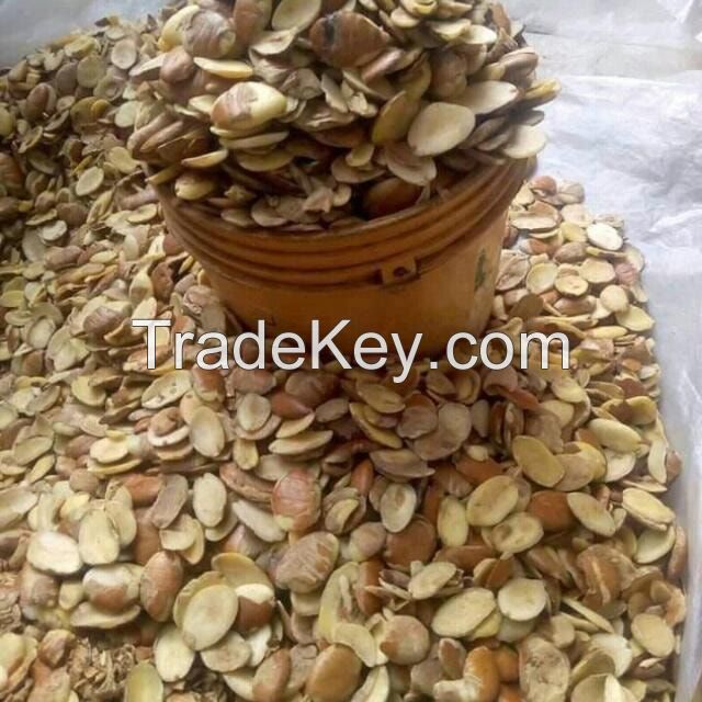 Ogbono Nut For Sell