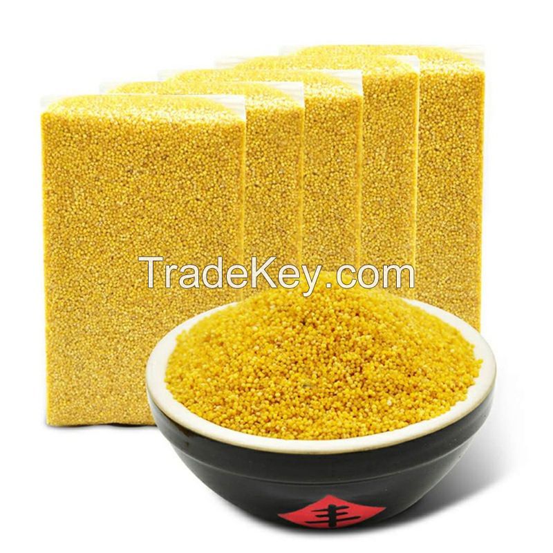 Best-Selling Wholesale Price 500g Yellow Gluten-Free Grain Millet