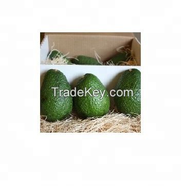 Fresh Avocado Hass & Fuerte From South Africa