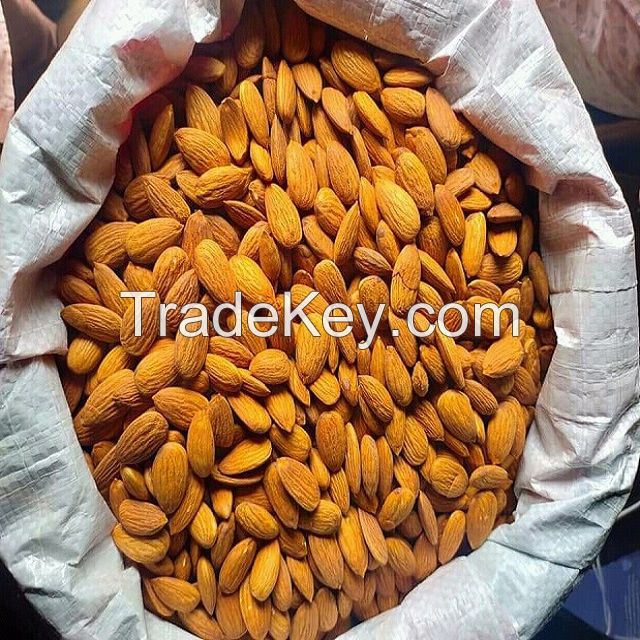 high quality wholesale Chinese organic raw almond great price exporter for sale in bulk s