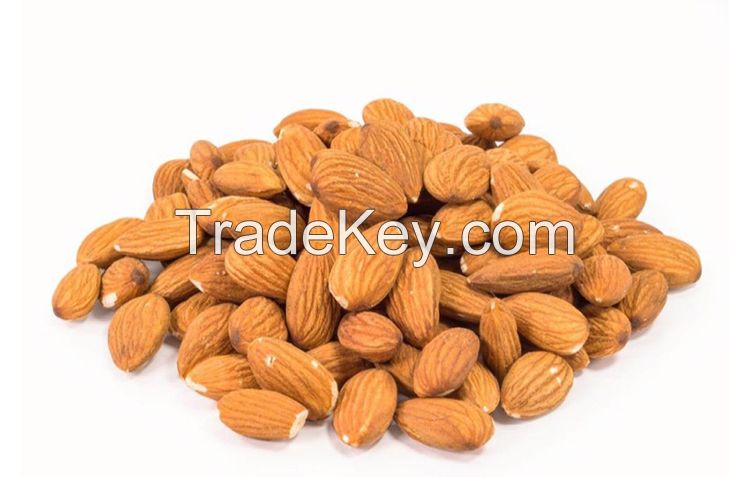 high quality wholesale Chinese organic raw almond great price exporter for sale in bulk s