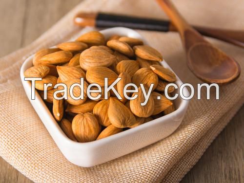 high quality wholesale Chinese organic raw almond great price exporter for sale in bulk s