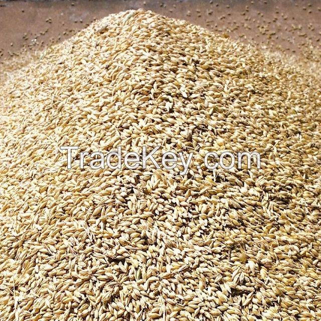 Corn Gluten Meal Feed Grade 