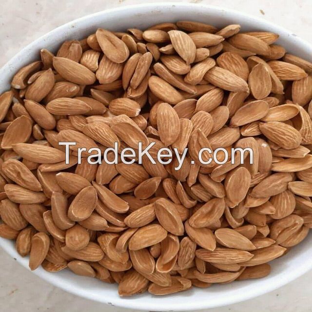 Top Quality | OEM ITALIAN | Organic Shelled Almond | for export