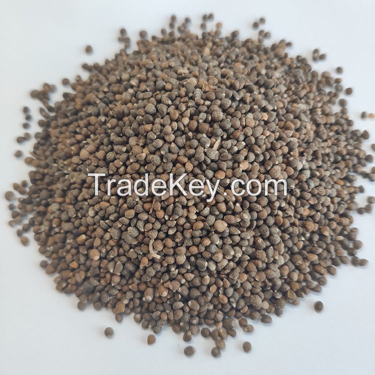 2021 crop market price perilla seeds