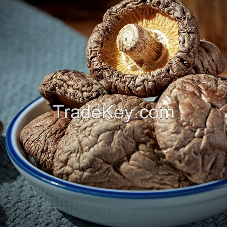 High quality dried mushroom shiitake at a low price dried shiitake mushroom dried mushroom