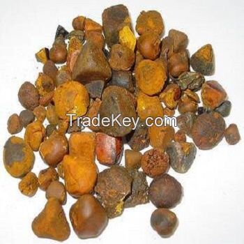  Cow Gall Stones / Ox Gallstones