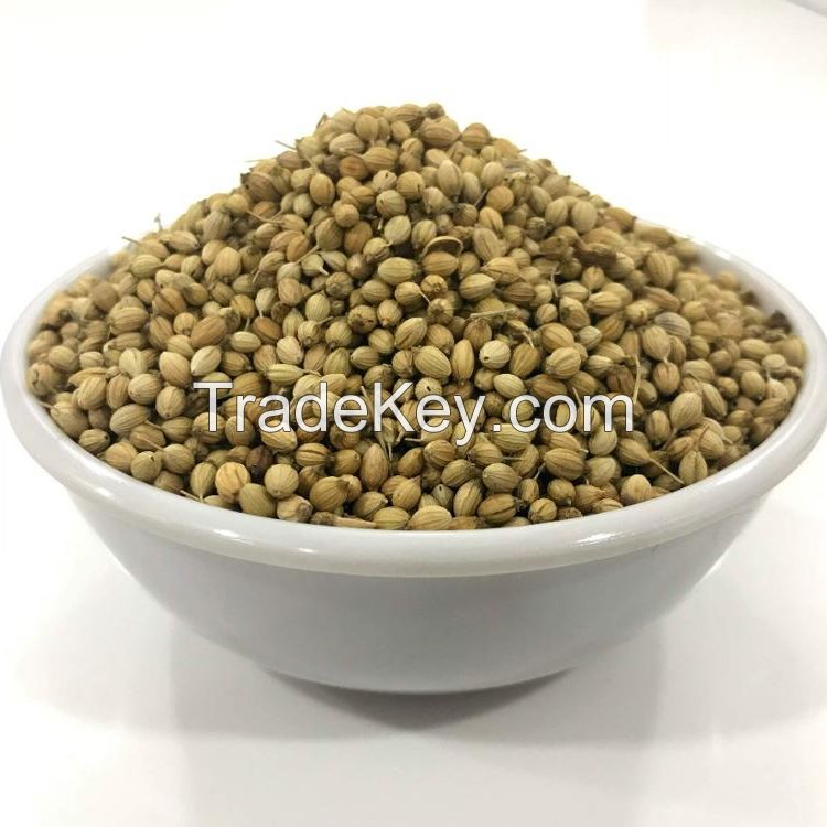 Coriander Seeds