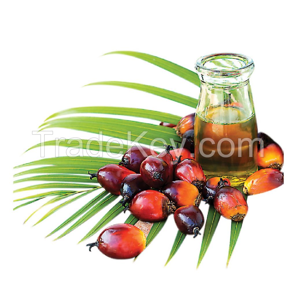 RBD Palm Olein Oil CP-10