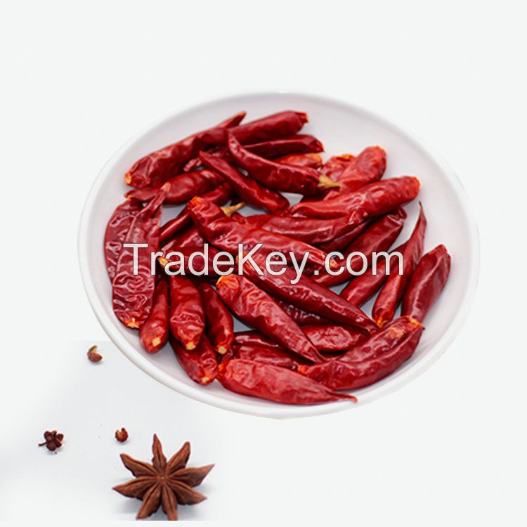 dried red chili pepper