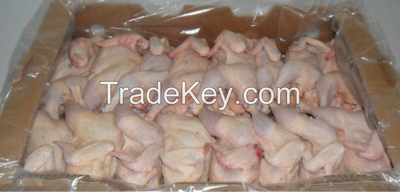 Chickens Frozen HACCP HALAL Frozen Whole Chicken and parts