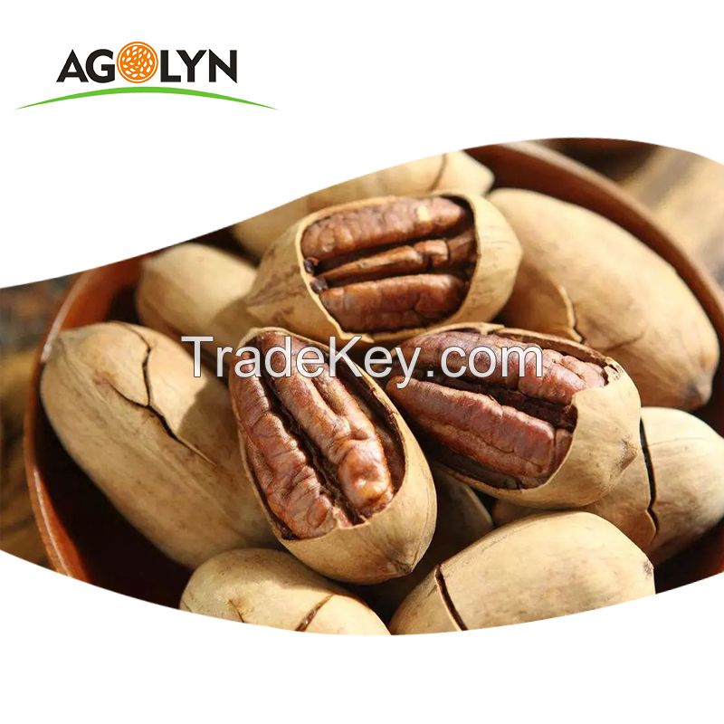 pecan nuts