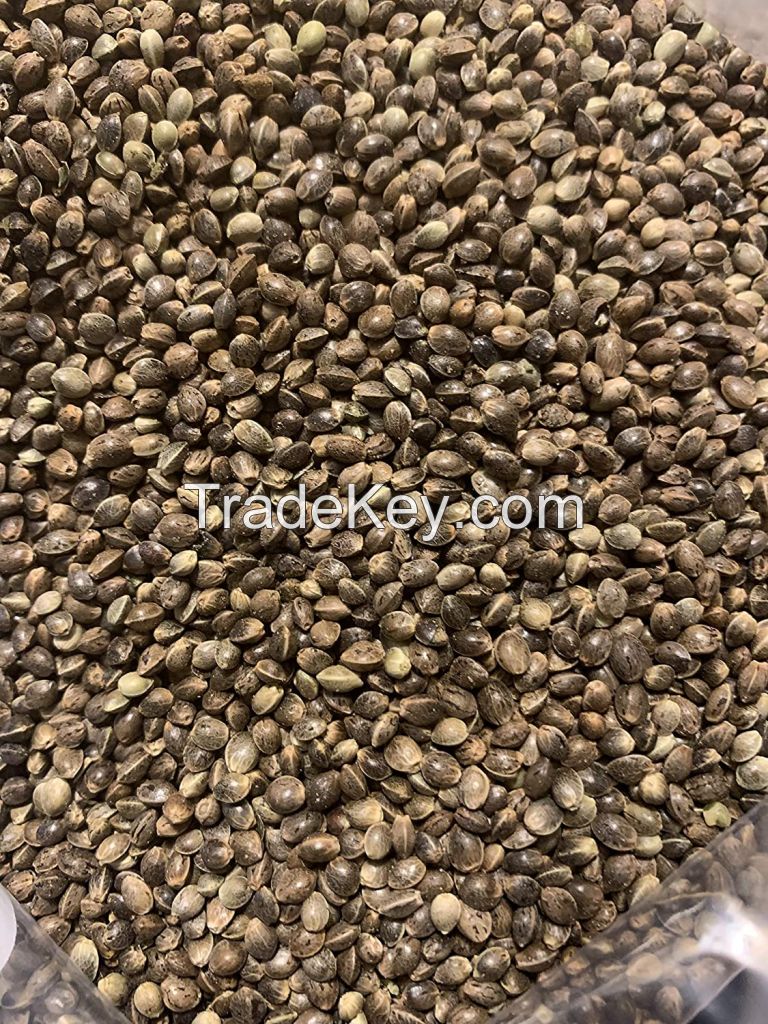 Organic Whole Hemp Seeds