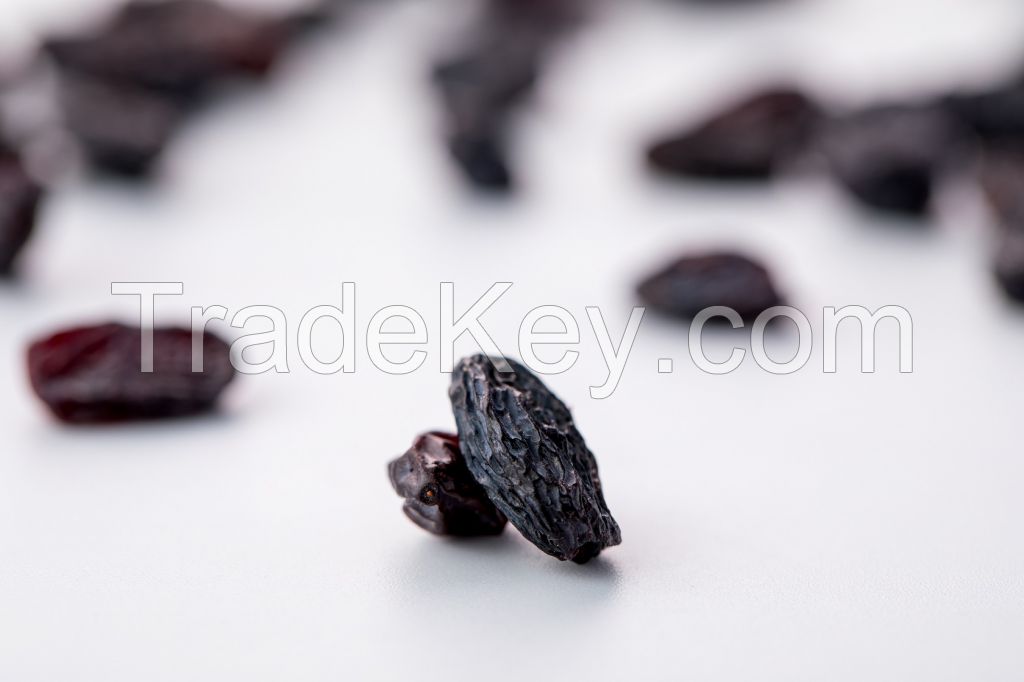 BLACK RAISIN