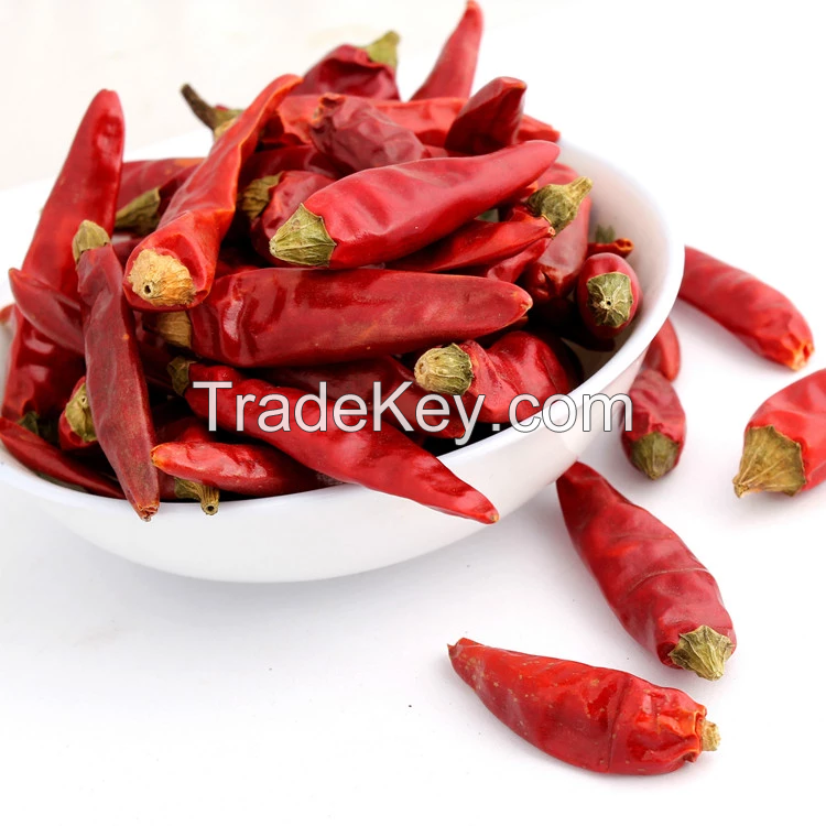 dried red chili pepper