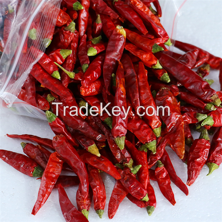 dried red chili pepper