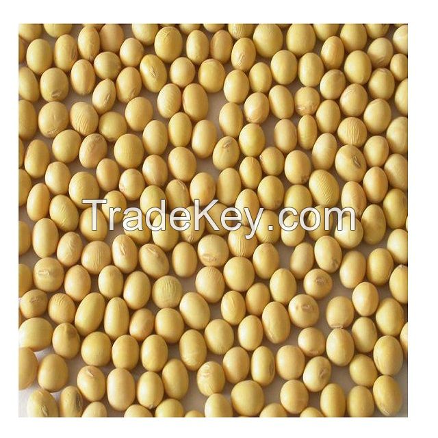 Organic Soybean/ Soya Bean