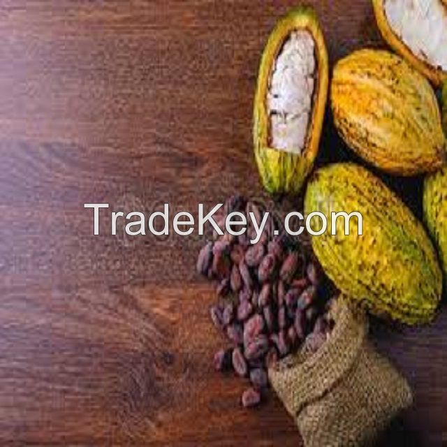 Raw Cocoa Bean