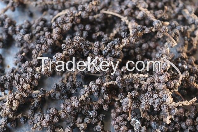 Whole Black Pepper