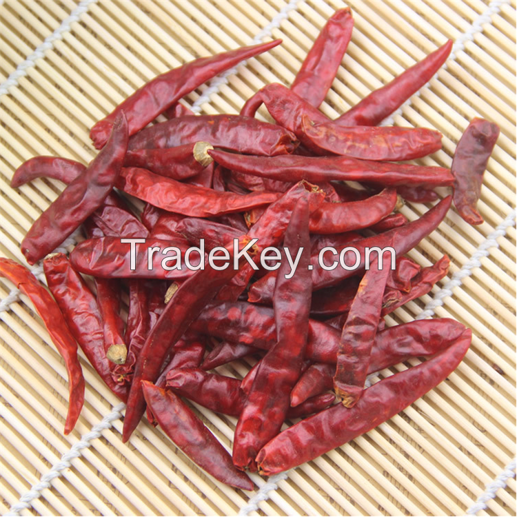 dried red chili pepper