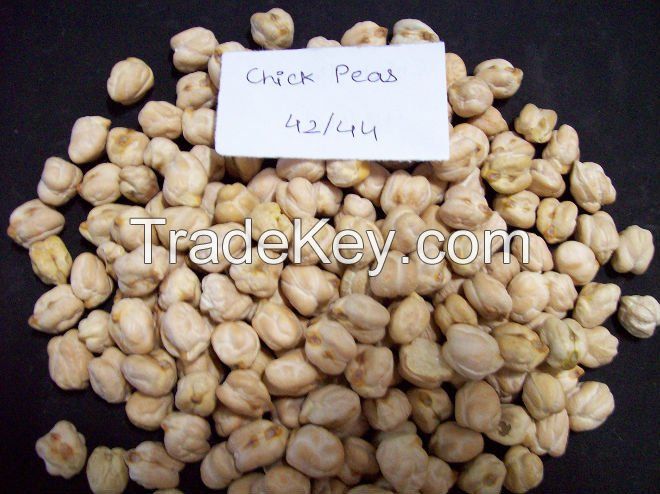 Chick Peas / Pulses