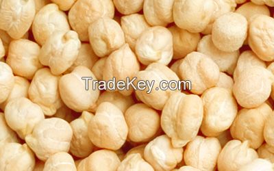 Chick Peas / Pulses