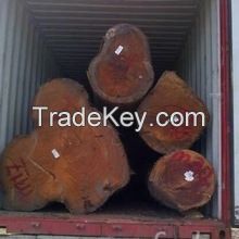 New Products Timber Wood Logs Eco Friendly Acacia Wood Logs Wholesale Price