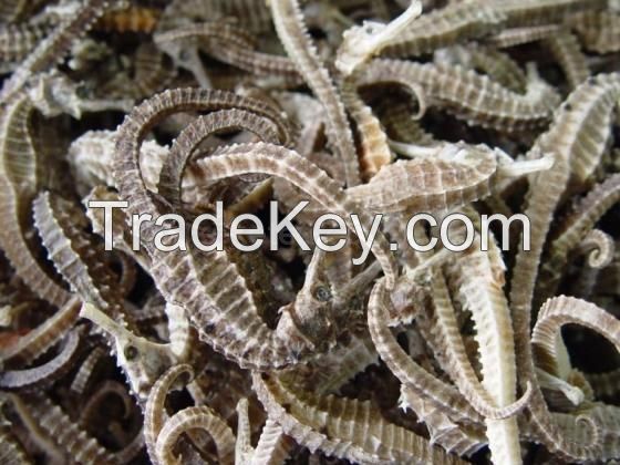 Dried Sea Cucumber / Frozen Dry Cucumber/ Dried Black Pickly Sea Cucumber