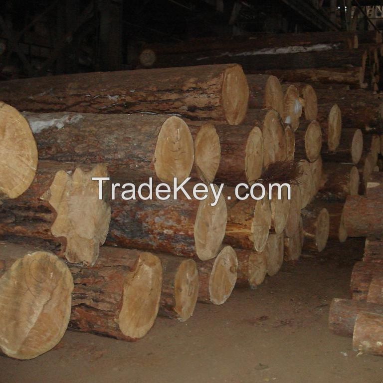 Red Oak Logs for Sale