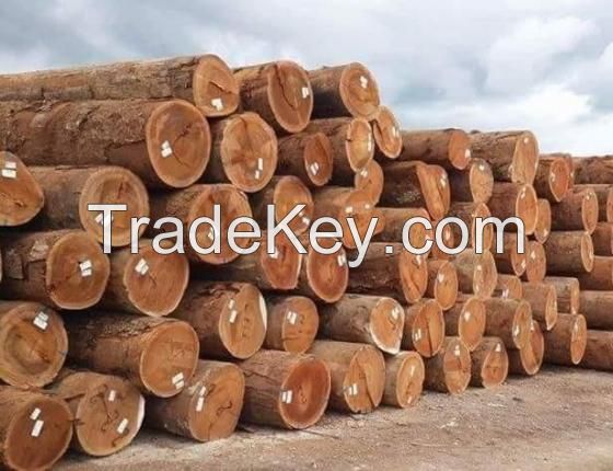 Red Oak Logs for Sale