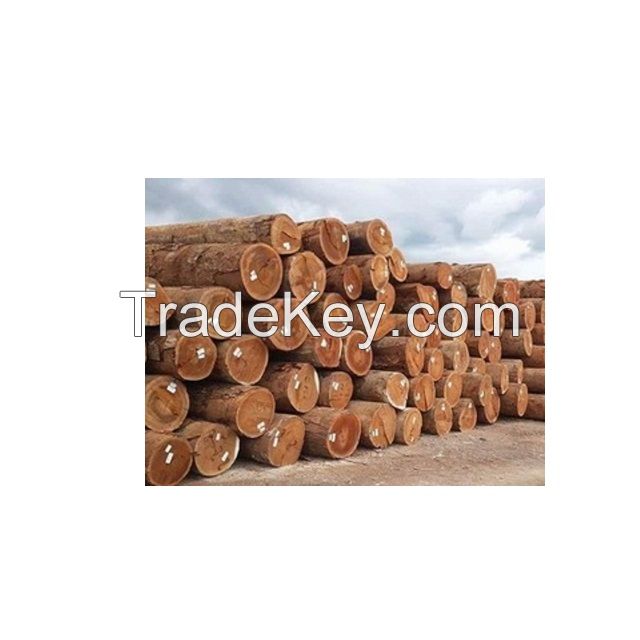 Swan Bubinga Logs and Timber  