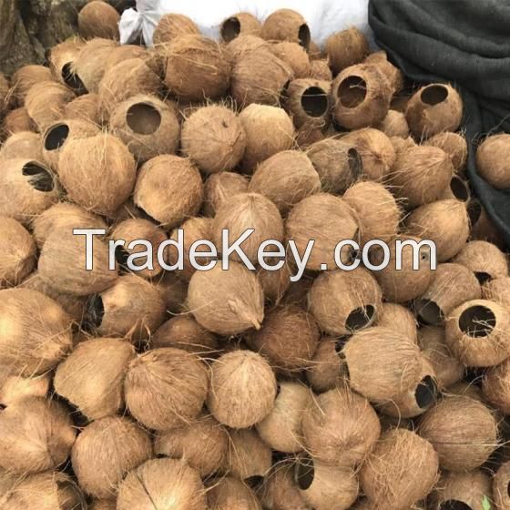 Coconut Shell Charcoal Briquettes