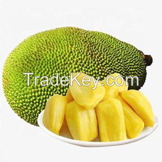 Wholesale Jackfruit Fresh with Best Price Buy Fresh Jackfruit