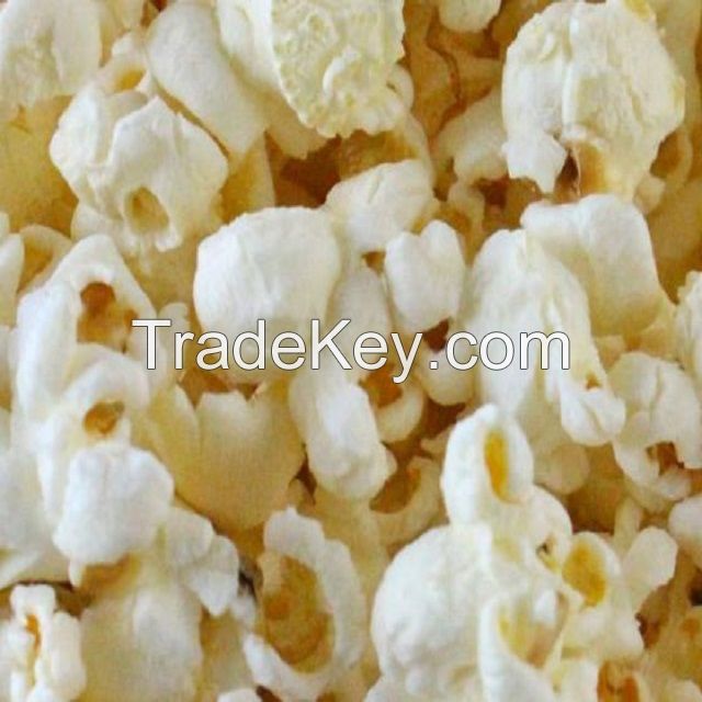 Raw Popcorn Corn Supply