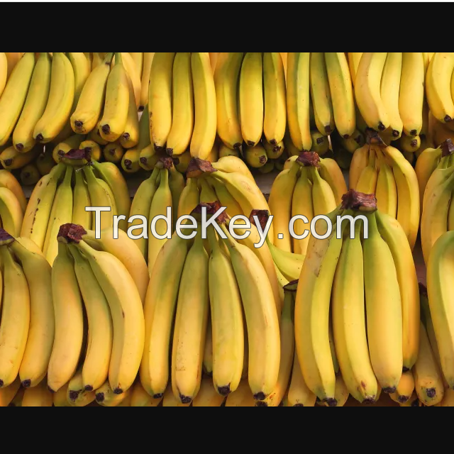 Fresh bananas