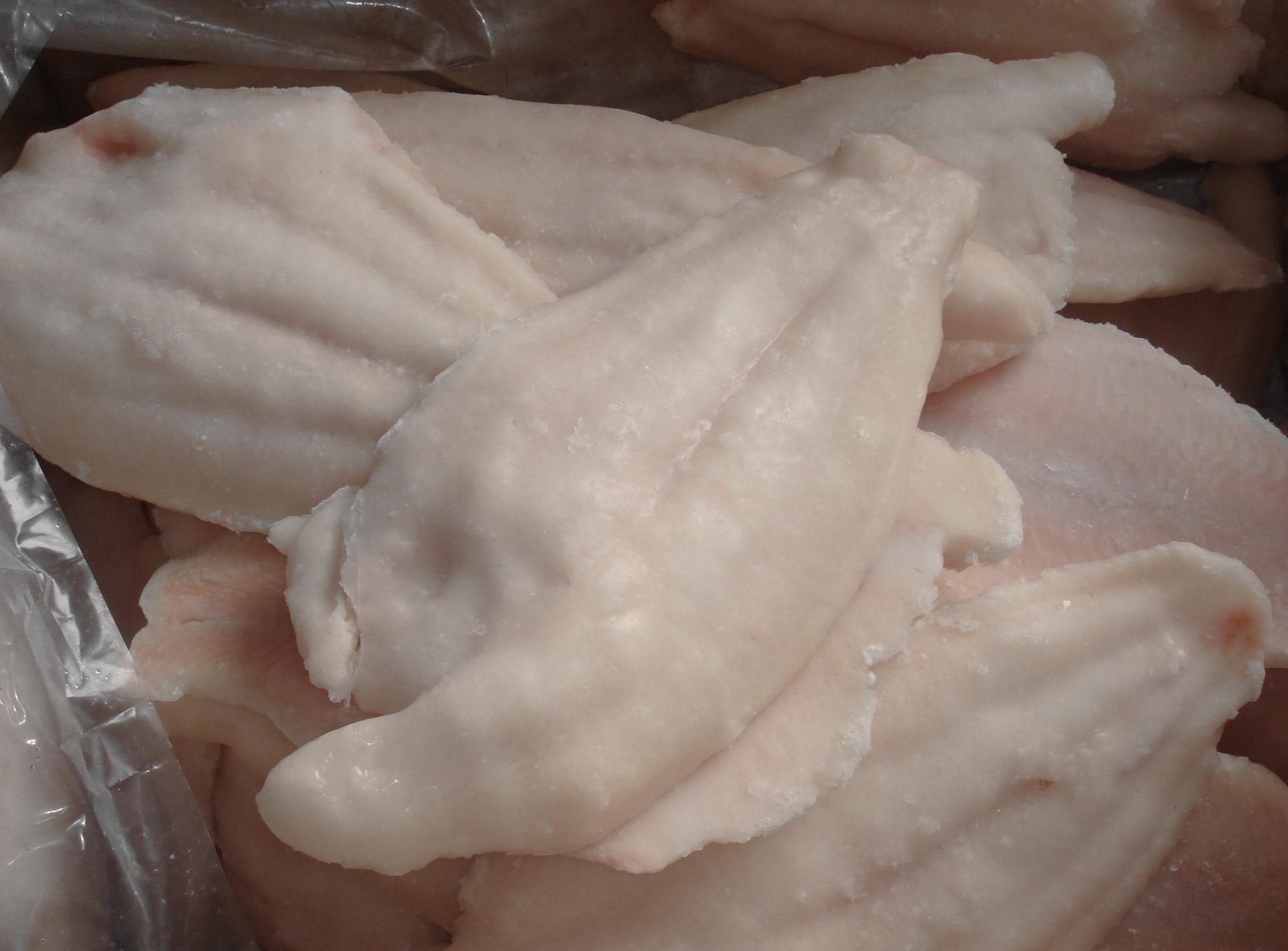 Frozen Channel Catfish Fillet