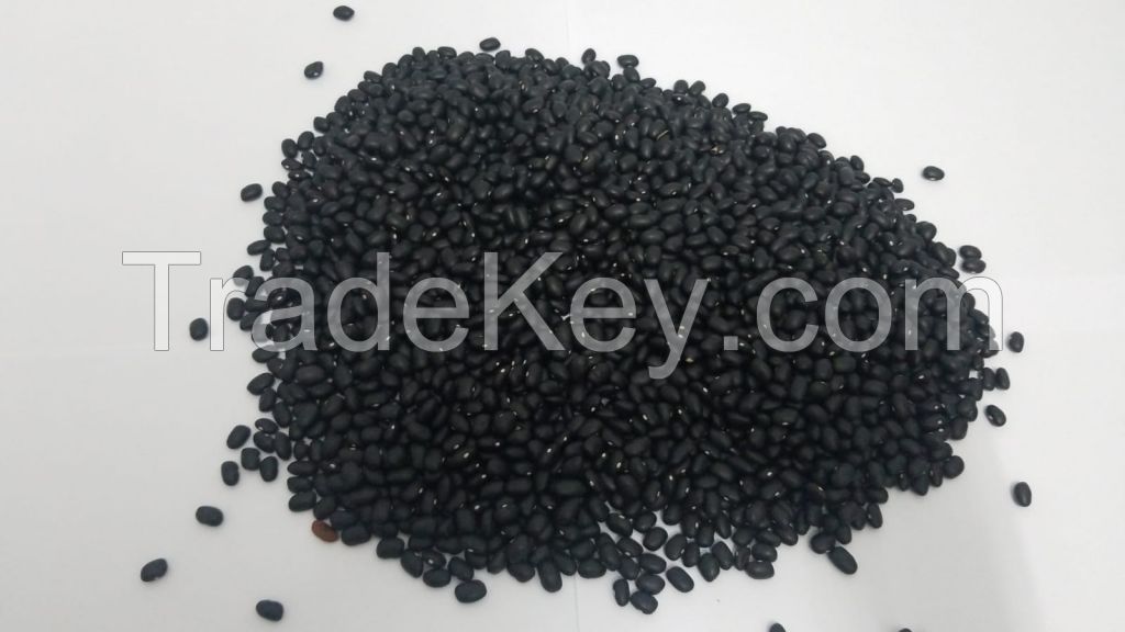 Black Kidney Beans