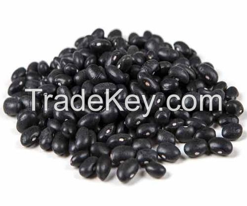 Black Kidney Beans