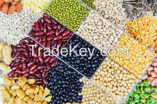 White Kidney Beans