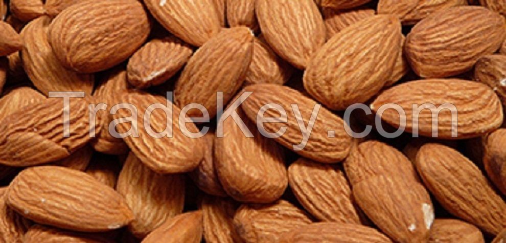 Almond nuts