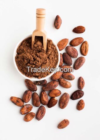 Cacao Powder