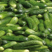 Gherkins