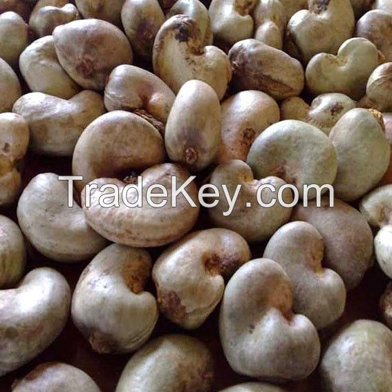 Selling best Organic Cashew Nuts