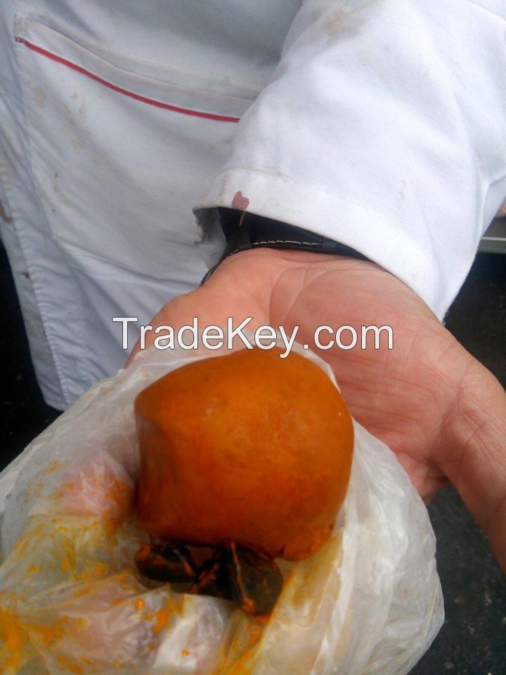 Buy Ox Gallstones / Buy Cattle Gallstones / Human Gallstones 