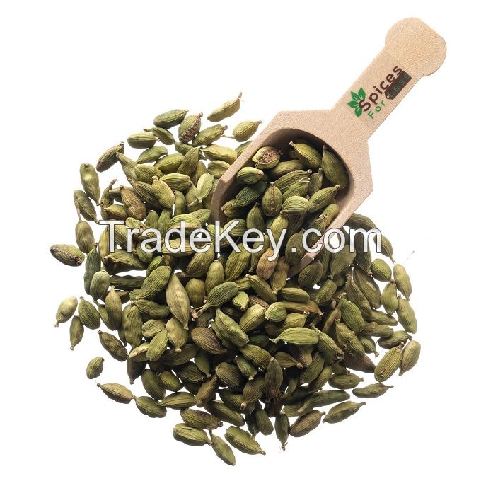 High quality Green Cardamom Elettaria  fruits