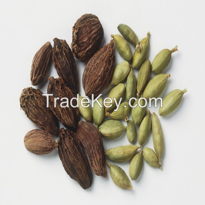 100% Pure Natural green cardamom Oil for cardamom powder