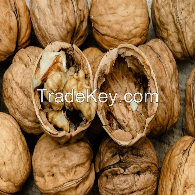 Top Grade Wallnuts Thin Skin Raw Walnuts With Shell