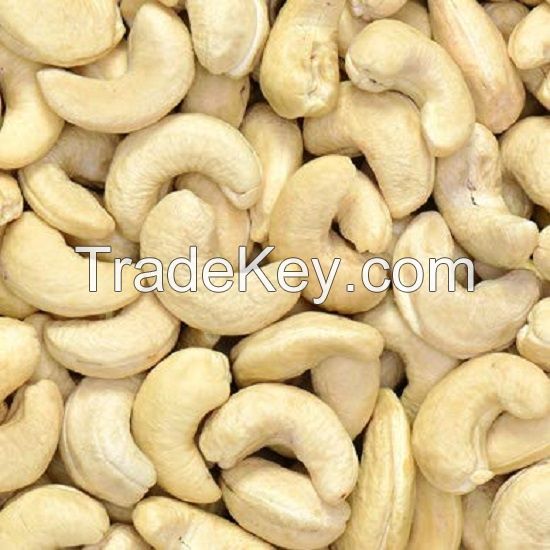 100% High Quality Cashew Nuts Cashew W180- W240- W320- W450