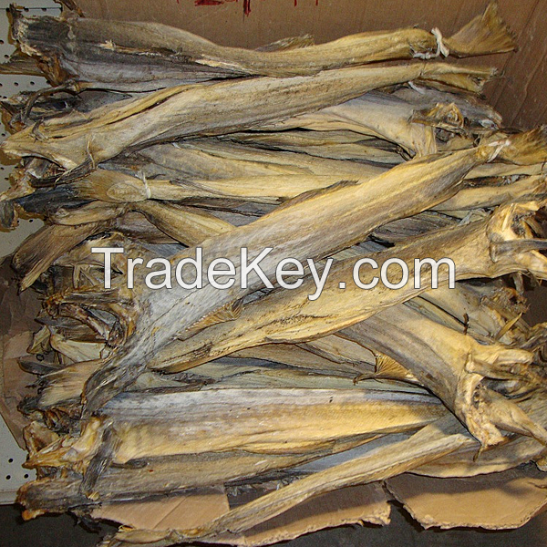 Hot Sale Top Grade Dried Salted Cod Fish